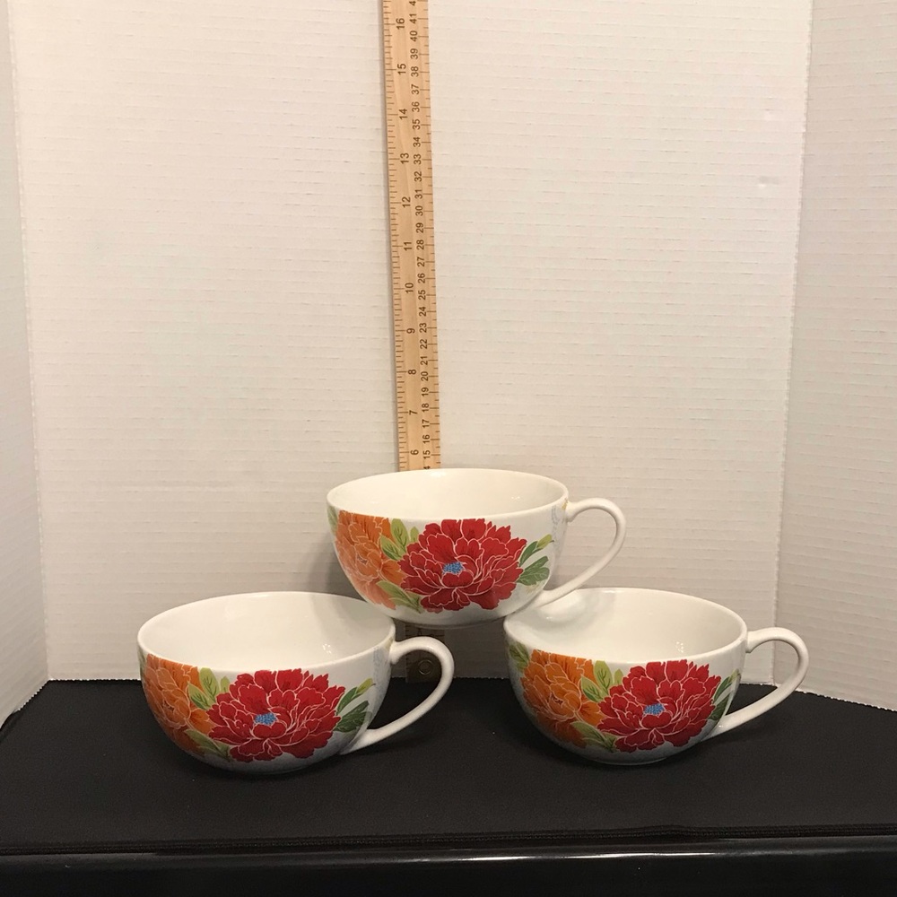 Set of 3 222 Fifth Huang Jumbo Mugs Soup bowls